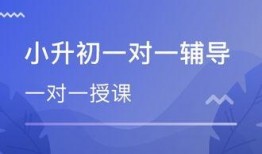 南开小升初爆料事件最新,内幕揭秘，家长焦虑与教育公平的碰撞