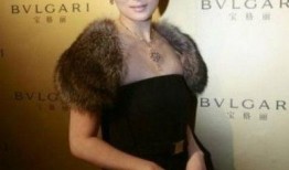 明星初恋爆料视频大全下载,独家爆料视频大全下载汇总