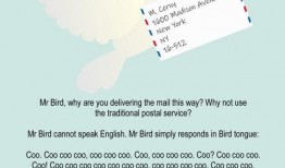 tfs最新爆料,揭秘科技巨头最新动态与未来趋势